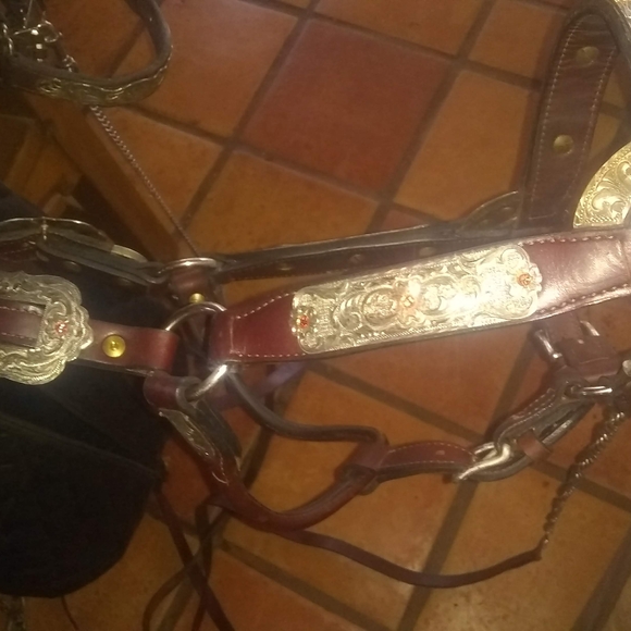 3 Leather Horse Show Halters with Silver Accents - Picture 7 of 8